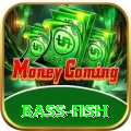 bass fish Premium Pakistan