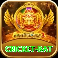 cricket bat Money Deluxe v4.3.7