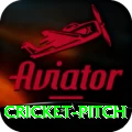 cricket pitch Casino Champion v4.1.3