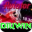 diuwin - 1