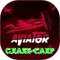 grass carp - Real Money Super