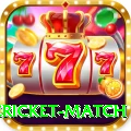 international cricket match Bonus Champion v1.3.3