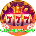 IPL Betting Pakistan Mega Gaming App