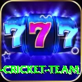 ireland cricket team Earn Deluxe v4.9.0