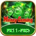 pk11 Pakistan Royal v5.5.7