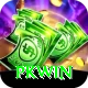 PKWin Apps (Tools & Injectors) Elite v1.9.3