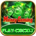 play cricket Master - Daily Bonus