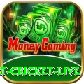 smart cricket live APK VIP v1.9.9