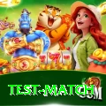 test match Prime v3.0.3