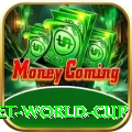 under 19 cricket world cup - Gaming King