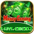 watch live cricket Live Champion v5.2.1
