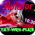 Yay Win Premium Plus v5.9.5